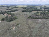 139 Acres of Pasture with 4 Ponds : Caulfield : Ozark County : Missouri