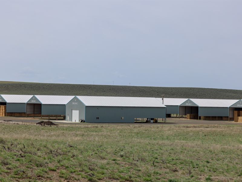 Eastern Oregon Farmland Auction : Burns : Harney County : Oregon