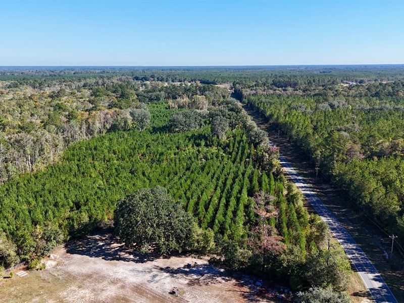 59 Acres, Country Living Retreat : Nahunta : Brantley County : Georgia