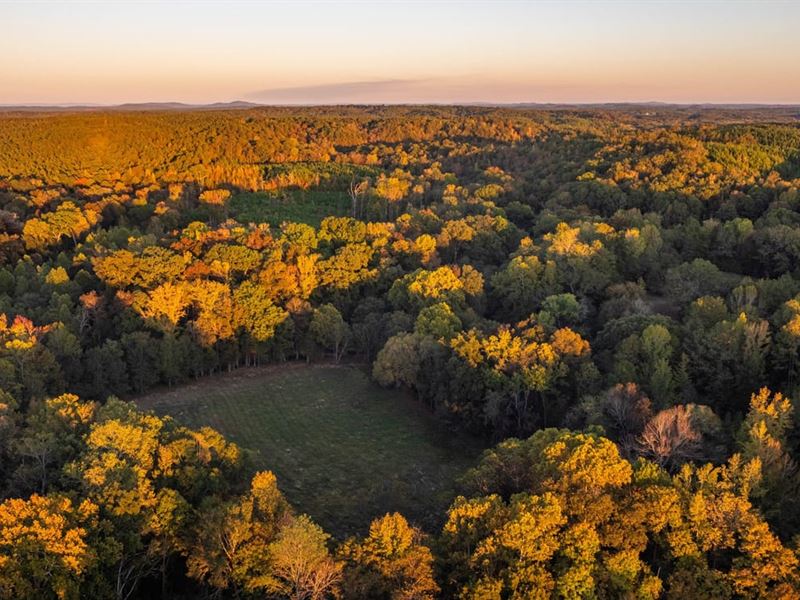 133 Acres in Shelby County : Calera : Shelby County : Alabama