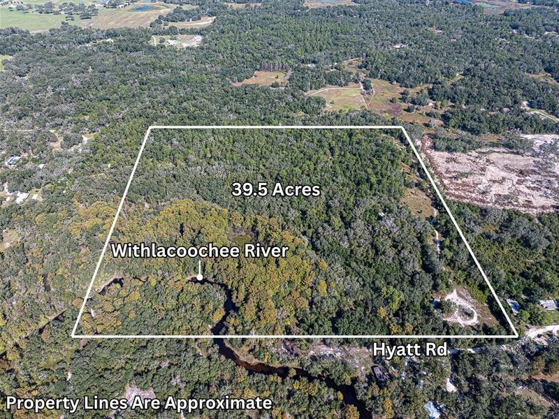 39 Acres with River Frontage in Her : Dade City : Hernando County : Florida
