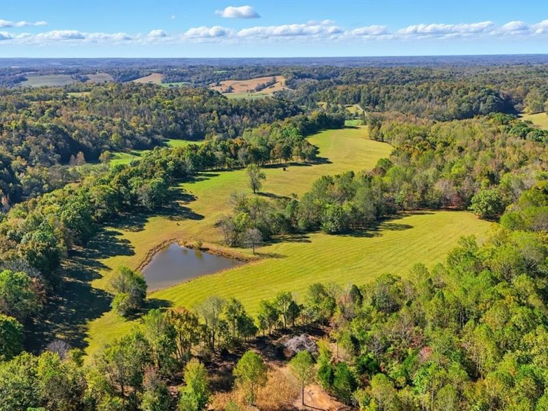 Tatum Ridge Farm, 65.4 Acres, Gi : Pulaski : Giles County : Tennessee