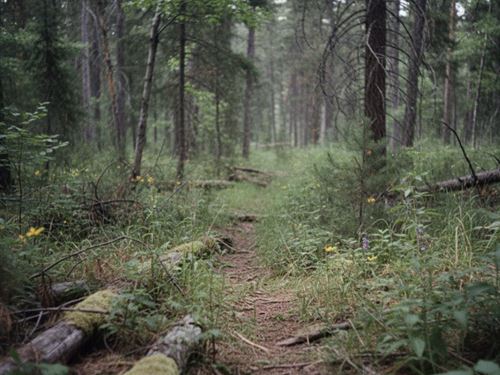 10.35 Acres Carbon County MT : Bridger : Carbon County : Montana