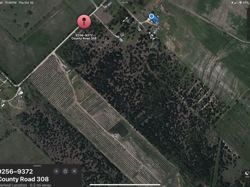 Lovely Acreage 30M East Of Dallas : Terrell : Kaufman County : Texas