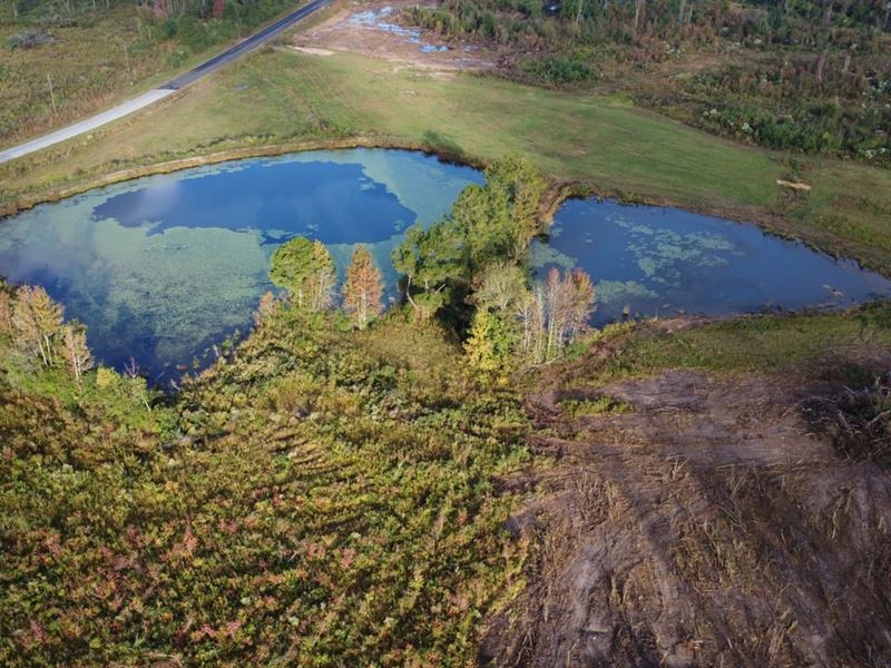 70 Acres on Blakely Creek : Collins : Covington County : Mississippi