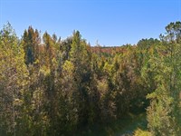 11 Acres of Recreational & Resident : Maple Hill : Pender County : North Carolina