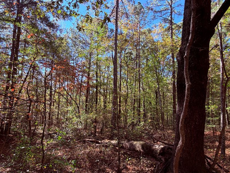 977 Whooping Creek Rd, Carrollton : Carrollton : Carroll County : Georgia