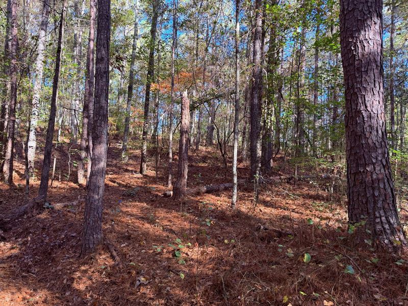 1001 Whooping Creek Rd, Carrollton : Carrollton : Carroll County : Georgia