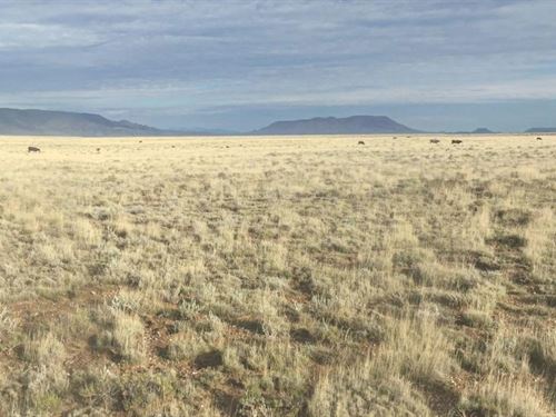 Homesteaders Dream 40 Acres : San Luis : Costilla County : Colorado
