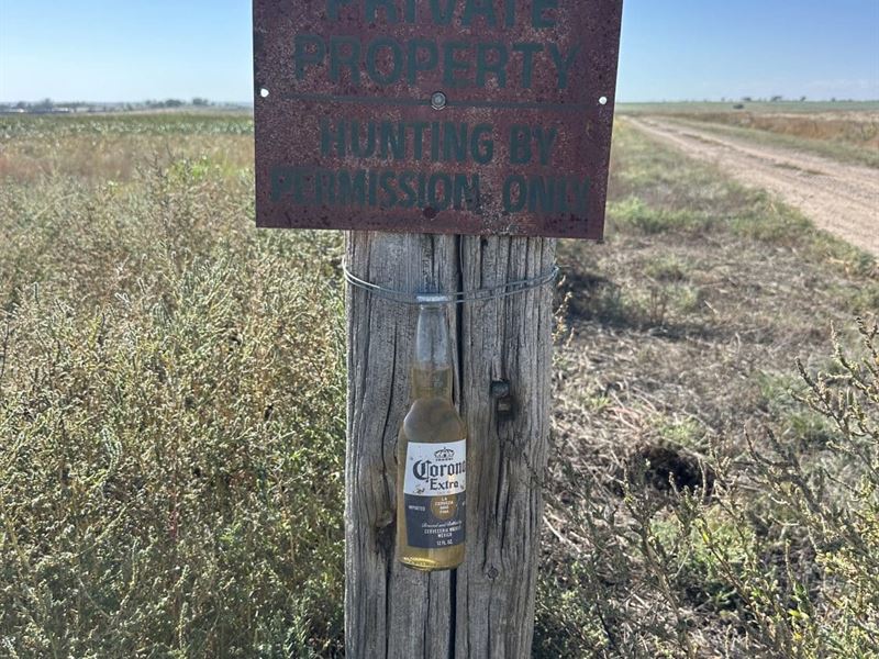 Corona Farm, Holly Colorado : Holly : Prowers County : Colorado