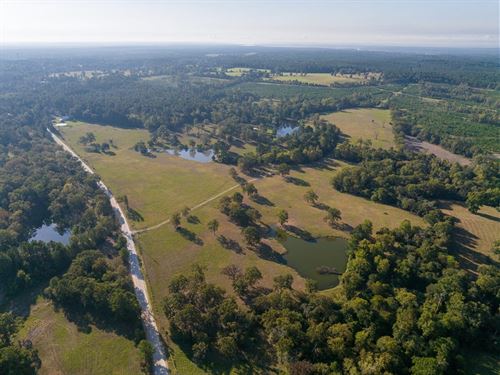 100+ Acres, Heaven's Ranch, Glend : Trinity : Texas