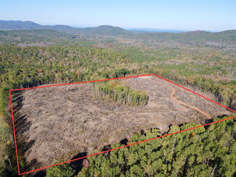 40 Acres Chandler Springs, Clay : Talladega : Talladega County : Alabama