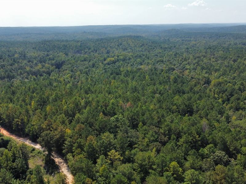 23 Acres Tallapoosa County, AL : Camp Hill : Tallapoosa County : Alabama
