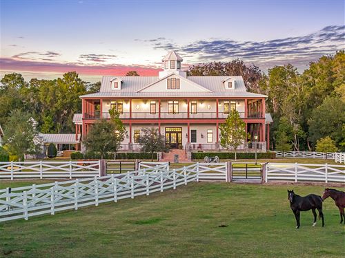 Serella Stables : Tarpon Springs : Pinellas County : Florida