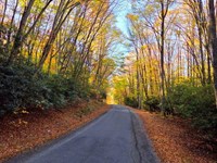 Shady Spring Mountainland : Shady Spring : Raleigh County : West Virginia