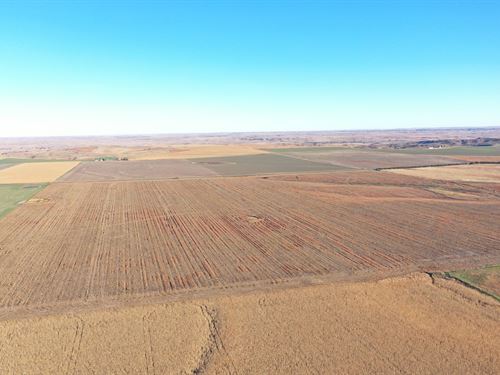 Old 6 Dryland Quarter : Imperial : Chase County : Nebraska