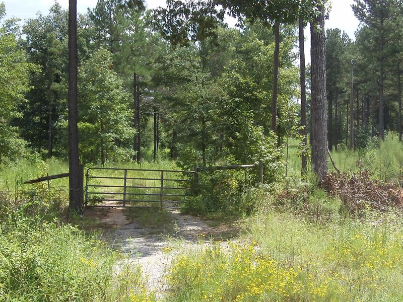 Deep Lake Farms, 5.63 Acres : Shady Dale : Jasper County : Georgia