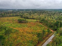 56.96 Acres Webster County : Eupora : Webster County : Mississippi