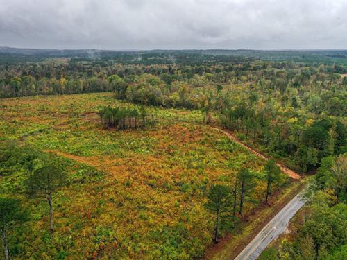 56.96 Acres Webster County : Eupora : Webster County : Mississippi