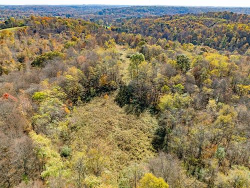 Flint Ridge Rd, 63 Acres : Crooksville : Perry County : Ohio