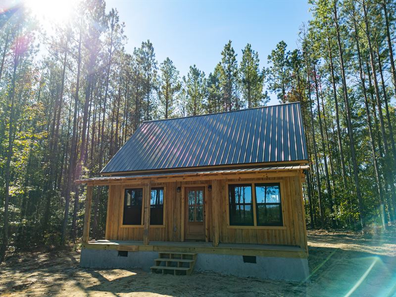 Cabin Ridge : Irwinton : Wilkinson County : Georgia