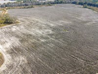 Bowen Hill Farm : Garfield : Bulloch County : Georgia