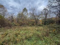 Pearl Wood Rd Lot 1 19 : Albany : Athens County : Ohio