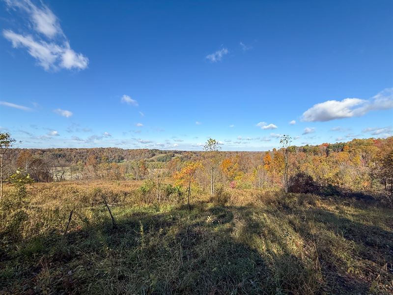 Schmeltzer Rd 30 : Bremen : Hocking County : Ohio