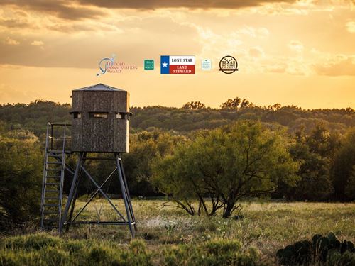 Mt7 Pendleton Pasture : Breckenridge : Stephens County : Texas