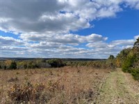 108 Ares of Hunting/Recreational LA : Richland : Pulaski County : Missouri