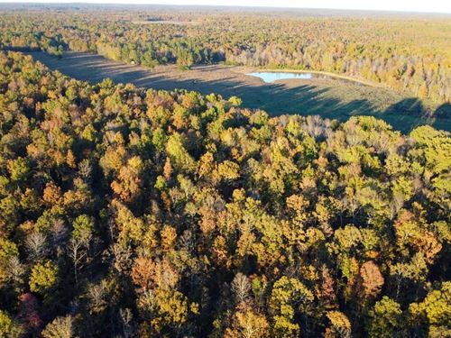 Remarkable 75 AC Property For Sa : Fairdealing : Ripley County : Missouri