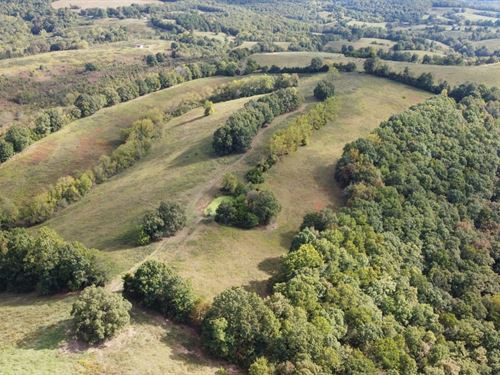 40 Acres in Landis, Arkansas : Landis : Searcy County : Arkansas