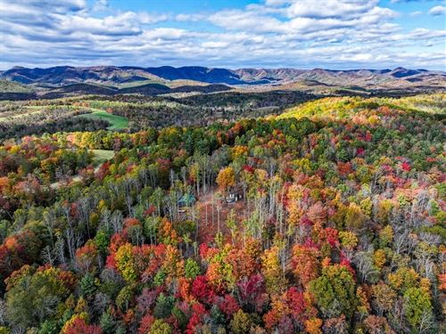 47.0481 Acres of Hunting, Recreatio : Stuart : Patrick County : Virginia