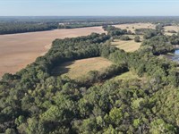 Oktibbeha County, 217 Artesia Road : Starkville : Oktibbeha County : Mississippi