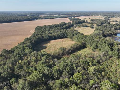 Oktibbeha County, 217 Artesia Road : Starkville : Oktibbeha County : Mississippi