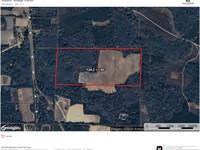 Nubin' Ridge Farm : Leary : Baker County : Georgia