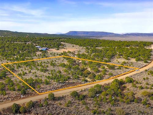 Colorado Homestead, Trees & Views : Fort Garland : Costilla County : Colorado