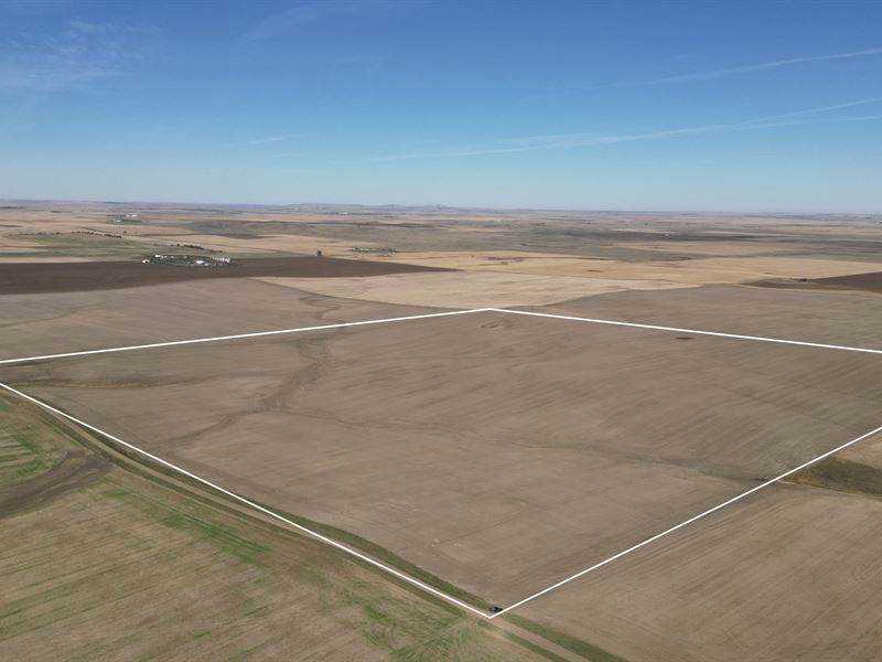 Whetstone Butte 149 : Reeder : Adams County : North Dakota