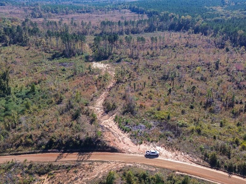 Webster Co, 60 Acres : Eupora : Webster County : Mississippi