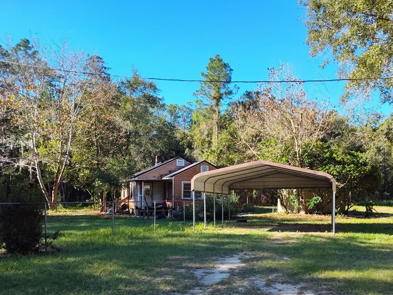 Two Homes for The Price Of One : Hawthorne : Alachua County : Florida
