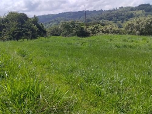Cattle Farm with Financing in Pozo : Guanacaste : Costa Rica