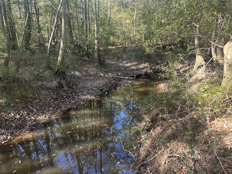 Tallabogue Creek Tract, 50 Acres : Quitman : Clarke County : Mississippi