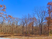 Wooded Corner Lot Mins From Edwards : Edwards : Benton County : Missouri