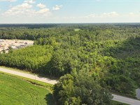 6.56 Acres in Greeleyville, SC : Greenville : Williamsburg County : South Carolina