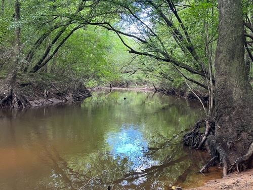 Coalfire Creek Tract A 137 Acres : Reform : Pickens County : Alabama