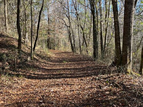Coalfire Creek Tract C, 76 Acres : Reform : Pickens County : Alabama