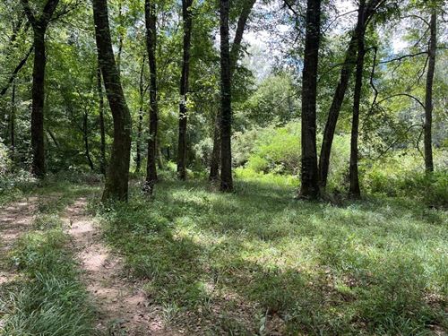 Coalfire Creek Tract C, 76 Acres : Reform : Pickens County : Alabama