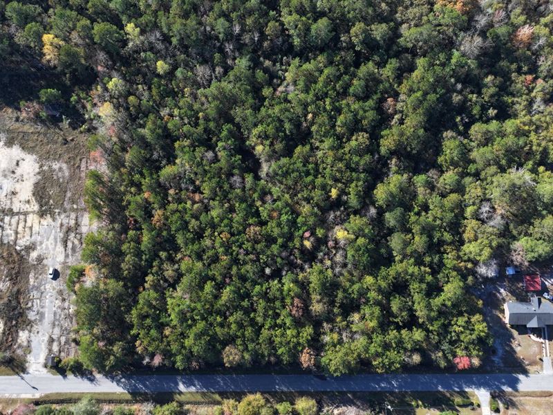 5 Acres in Dillon County SC : Lake View : Dillon County : South Carolina