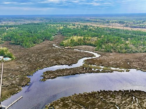34 Acres, Little Satilla River : Waverly : Camden County : Georgia