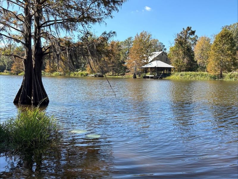 Nantachie Lake : Montgomery : Grant Parish : Louisiana